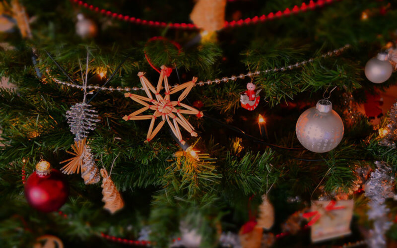 Holiday Survival Guide